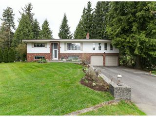 Photo 1: 30281 MERRYFIELD Avenue in Abbotsford: Bradner House for sale : MLS®# F1408278