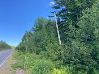 Photo 2: Balmoral Road in Central New Annan: 103-Malagash, Wentworth Vacant Land for sale (Northern Region)  : MLS®# 202218858