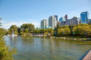 Photo 47: 202F 500 Eau Claire Avenue SW in Calgary: Eau Claire Apartment for sale : MLS®# A2008770