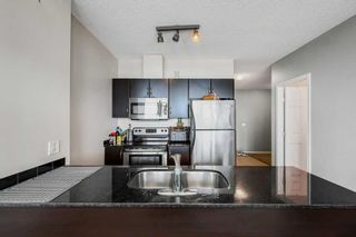Photo 18: 1103 325 3 Street SE in Calgary: Downtown East Village Apartment for sale : MLS®# A2131238