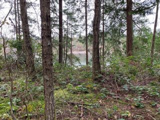 Photo 6: Lot A Cove Rd in Ladysmith: Du Ladysmith Land for sale (Duncan)  : MLS®# 871059