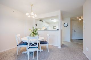 Photo 12: 511 12148 224 Street in Maple Ridge: East Central Condo for sale in "PANORAMA" : MLS®# R2727206