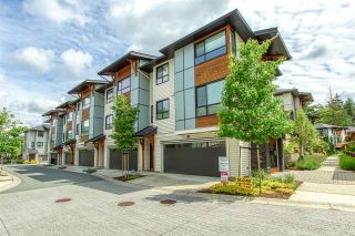 Main Photo: 12 8508 204 Street in Langley: Willoughby Heights Townhouse for sale in "ZETTER PLACE" : MLS®# R2466296