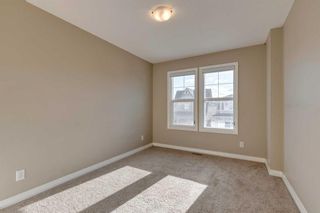 Photo 32: 40 Masters Terrace SE in Calgary: Mahogany Detached for sale : MLS®# A2107239