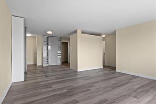 Photo 10: 402 175 Pulberry Street in Winnipeg: Pulberry Condominium for sale (2C)  : MLS®# 202324537