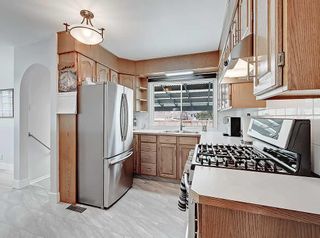 Photo 8: 33 Montrose Crescent NE in Calgary: Winston Heights/Mountview Detached for sale : MLS®# A2125358