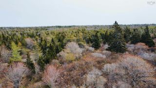 Photo 6: NO 3 Highway in Upper Woods Harbour: 407-Shelburne County Vacant Land for sale (South Shore)  : MLS®# 202309286