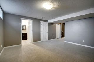 Photo 23: 29 102 Canoe Square SW: Airdrie Row/Townhouse for sale : MLS®# A1202141