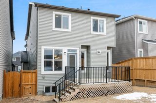 Photo 36: 304 Nolanhurst Crescent NW in Calgary: Nolan Hill Detached for sale : MLS®# A1187775