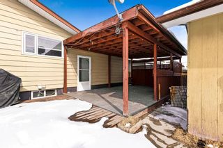 Photo 31: 115 Sackville Drive SW in Calgary: Southwood Detached for sale : MLS®# A2032448