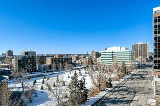 Photo 25: 808 310 12 Avenue SW in Calgary: Beltline Apartment for sale : MLS®# A2032831