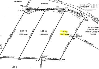 Photo 4: Lot 12 Pictou Landing Road in Little Harbour: 108-Rural Pictou County Vacant Land for sale (Northern Region)  : MLS®# 202304917