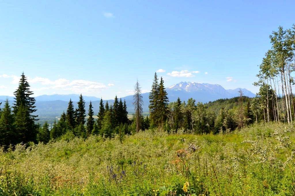 Main Photo: LOT 1 HISLOP Road in Smithers: Smithers - Rural Land for sale in "Hislop Road Area" (Smithers And Area (Zone 54))  : MLS®# R2491414