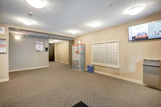 Photo 28: 1317 27 Street SE in Calgary: Albert Park/Radisson Heights Apartment for sale : MLS®# A2099451