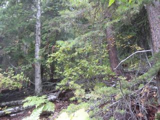 Photo 2: 12 Vickers Trail in Anglemont: Land Only for sale : MLS®# 10055802