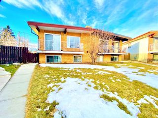 Photo 1: 1827 46 Street SE in Calgary: Forest Lawn Semi Detached for sale : MLS®# A1175084