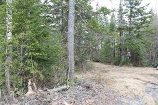 Photo 3: Lot 4 Miller Road in Devon: 30-Waverley, Fall River, Oakfield Vacant Land for sale (Halifax-Dartmouth)  : MLS®# 202007244