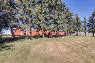 Photo 42: 285223 RR11: Crossfield Detached for sale : MLS®# A2127981