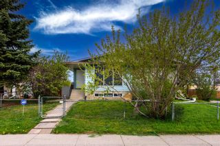 Photo 1: 107 Dovertree Place SE in Calgary: Dover Semi Detached (Half Duplex) for sale : MLS®# A2131844