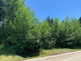 Photo 4: 1154 7th Ave in Ucluelet: PA Salmon Beach Land for sale (Port Alberni)  : MLS®# 877991