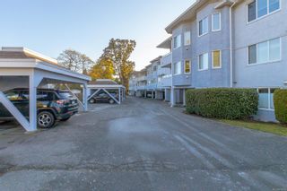 Photo 30: 101 3921 Shelbourne St in Saanich: SE Mt Tolmie Condo for sale (Saanich East)  : MLS®# 918816