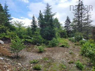 Photo 13: Highway 7 in Spry Harbour: 35-Halifax County East Vacant Land for sale (Halifax-Dartmouth)  : MLS®# 202219207