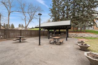 Photo 28: 372 1620 8 Avenue NW in Calgary: Hounsfield Heights/Briar Hill Apartment for sale : MLS®# A2129756