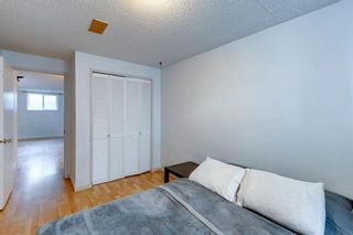 Photo 21: 4435 Greenview Drive NE Calgary Home For Sale