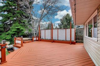 Photo 49: 1311 70 Avenue SW in Calgary: Kelvin Grove Detached for sale : MLS®# A1214141