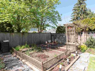 Photo 35: 8909 204 Street in Langley: Walnut Grove House for sale : MLS®# R2570370