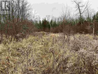 Photo 7: Lot 2 & 3 Con 6 Nelson RD in Ste. Joseph Island: Vacant Land for sale : MLS®# SM240115