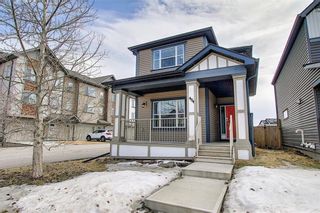 Photo 42: 484 COPPERPOND BV SE in Calgary: Copperfield House for sale : MLS®# C4292971