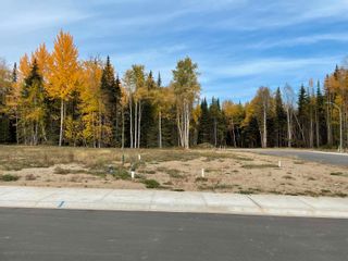 Photo 4: 7208 HILLU Road in Prince George: North Kelly Land for sale in "Legacy Park" (PG City North)  : MLS®# R2727872