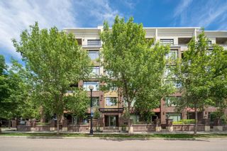 Photo 3: 335 950 Centre Avenue NE in Calgary: Bridgeland/Riverside Apartment for sale : MLS®# A1121925