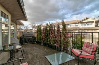 Photo 23: 158 20391 96 Avenue in Langley: Walnut Grove Townhouse for sale in "CHELSEA GREEN" : MLS®# R2647463