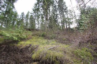 Photo 19: 2388 Waverly Drive: Blind Bay Vacant Land for sale (South Shuswap)  : MLS®# 10201100