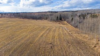Photo 10: 154 Ave & 256 St W: Rural Foothills County Residential Land for sale : MLS®# A1159354