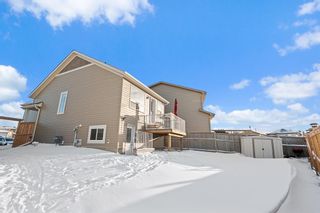 Photo 16: 57 Martinvalley Crescent NE in Calgary: Martindale Detached for sale : MLS®# A2016423