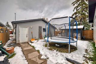 Photo 46: 3431 32A Avenue SE in Calgary: Dover Detached for sale : MLS®# A2126947