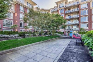 Photo 17: 308 4078 KNIGHT Street in Vancouver: Knight Condo for sale in "King Edward Village" (Vancouver East)  : MLS®# R2169434