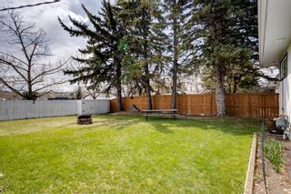 Photo 44: 8040 4A Street SW in Calgary: Kingsland Detached for sale : MLS®# A1220387