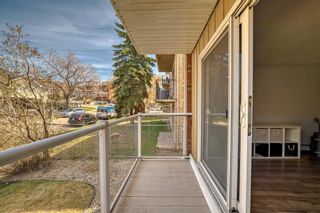 Photo 17: 2 645 Meredith Road NE in Calgary: Bridgeland/Riverside Apartment for sale : MLS®# A2130538