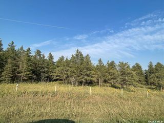 Photo 1: 5.43 acres Ridge in Hudson Bay: Lot/Land for sale (Hudson Bay Rm No. 394)  : MLS®# SK945057