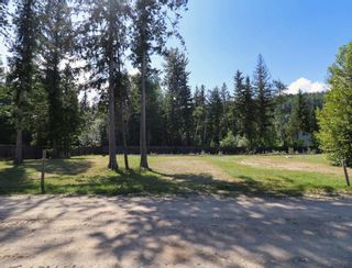Photo 2: Site 2 1701  Ireland Road in Seymour Arm: Recreational for sale : MLS®# 10310469