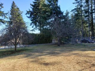 Photo 12: 260 5th Ave in CAMPBELL RIVER: CR Campbell River Central Land for sale (Campbell River)  : MLS®# 836042
