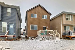 Photo 39: 64 Evanscrest Place NW in Calgary: Evanston Detached for sale : MLS®# A2124396