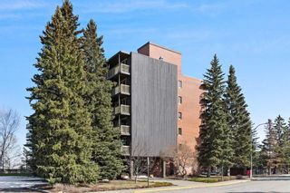 Photo 30: 508 3316 Rideau Place SW in Calgary: Rideau Park Apartment for sale : MLS®# A2120450