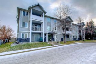 Photo 2: 105 6105 Valleyview Park SE in Calgary: Dover Apartment for sale : MLS®# A1161564