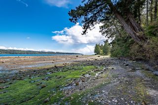 Photo 55: 7788 Ships Point Rd in Fanny Bay: CV Union Bay/Fanny Bay House for sale (Comox Valley)  : MLS®# 900428