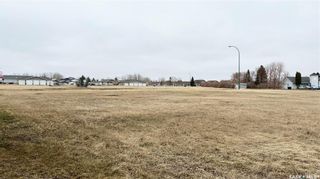 Photo 4: 121 Putters Lane in Elbow: Lot/Land for sale : MLS®# SK892047